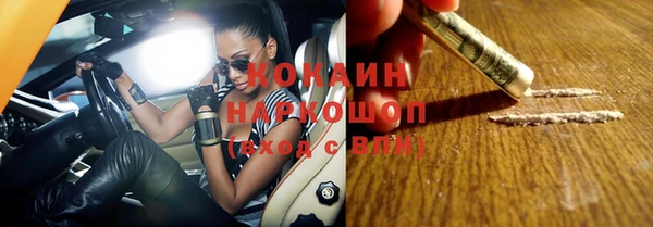 apvp Алзамай