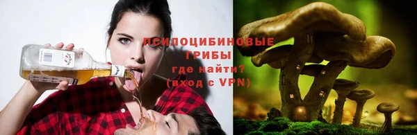 спиды Алексеевка