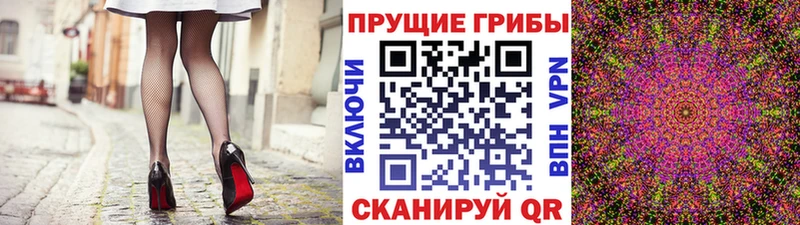 Галлюциногенные грибы Psilocybine cubensis Новодвинск