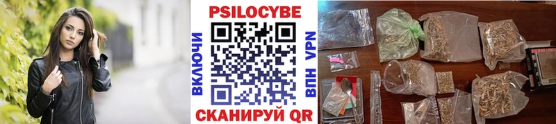дарк нет как зайти  где купить наркоту  Новодвинск  Псилоцибиновые грибы ЛСД 
